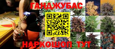 стафф Ачхой-Мартан